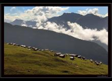 Belalp