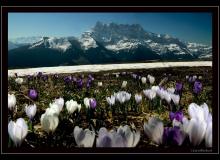 Les Dents du Midi vue du plateau de Onnaz