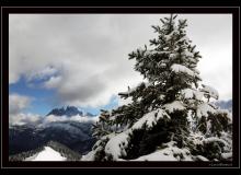 Les Dents du Midi