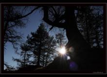 Ambiance automnale