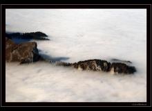 Mer de brouillard automnale
