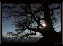 Ambiance automnale