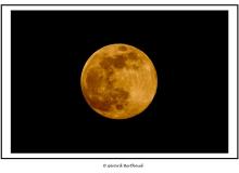 Lever de la lune jaune du 07 avril