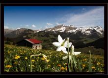 Le Mont-Chevreuil