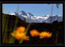 Dents Blanche-Cervin-Dent d'Herens