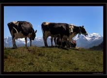Region du Sanetsch, Grand Combin