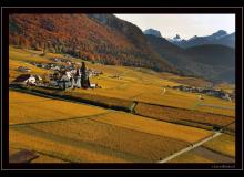 Couleur automnale dans la region d'Yvorne