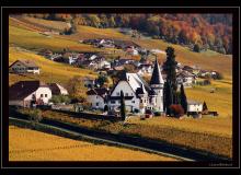 Couleur automnale dans la region d'Yvorne