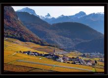 Couleur automnale dans la region d'Yvorne