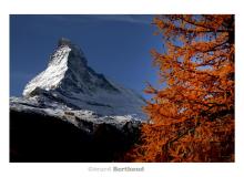 Couleur automnale dans la region de Zermatt