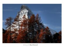 Couleur automnale dans la region de Zermatt