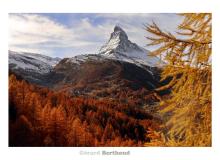 Couleur automnale dans la region de Zermatt