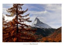 Couleur automnale dans la region de Zermatt