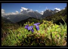 Les Dents du Midi