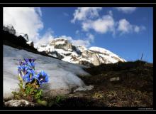 Les Dents Blanches (Champery)