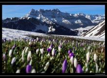 Dents du Midi