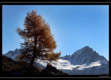 Le massif du Trient