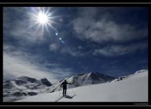 Ginalshorn