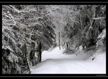 Paysage hivernal