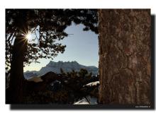 Les Dents du Midi (vue du Grand Crau)