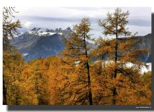 Les Dents du Midi (vue du col du Lein)