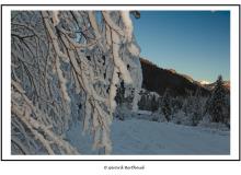Vallée d'Abondance