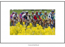 TOUR DE ROMANDIE DANS LA PLAINE DE L'ORBE