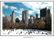 NEW-YORK -CENTRAL PARK
