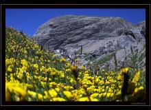 Sanetsch