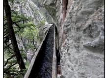 BISSE DE STIGWASSER ET WYSSA