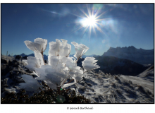 LES DENTS DU MIDI