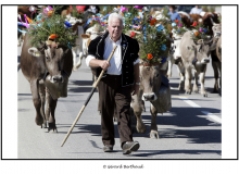 LA DESALPE EN GRUYERE