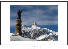 GRAND SAINT BERNARD