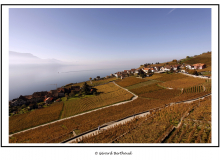 PROMENADE DANS LE LAVAUX