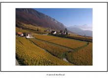 VIGNOBLE D'YVORNE