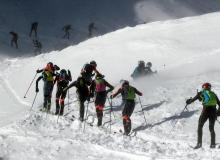 Trophee du Saint Bernard