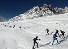 Trophee du Saint Bernard