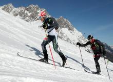 Trophee du Saint Bernard