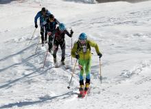 Trophee du Saint Bernard