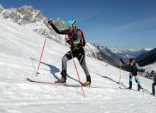 Trophee du Saint Bernard