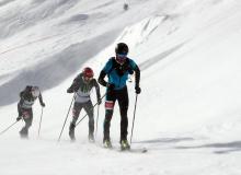 Trophee du Saint Bernard