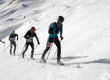 Trophee du Saint Bernard