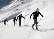 Trophee du Saint Bernard