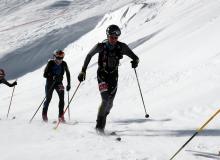 Trophee du Saint Bernard