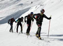 Trophee du Saint Bernard