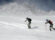 Trophee du Saint Bernard