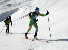 Trophee du Saint Bernard