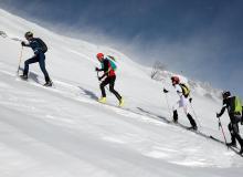 Trophee du Saint Bernard
