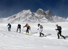 Trophee du Saint Bernard