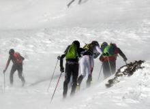 Trophee du Saint Bernard